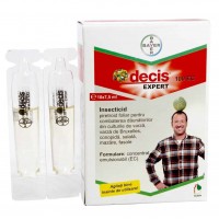 DECIS EXPERT