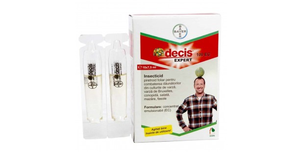 DECIS EXPERT